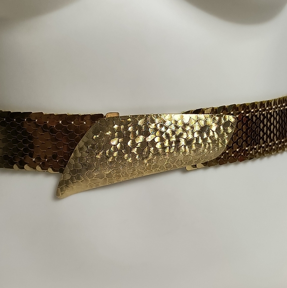 Statement Vintage Gold Metal Snake Belt Stretch main image 14
